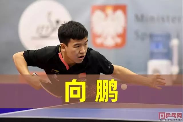 乓球比赛的 乓球比赛的