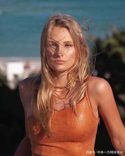 案例分析 案例分析